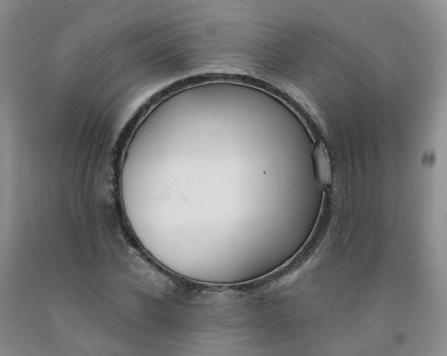 X0000091980926200709201423