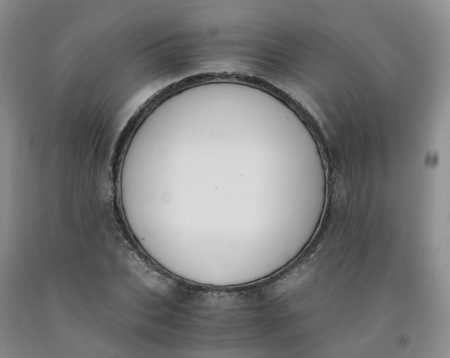 X0000091980927200709201423