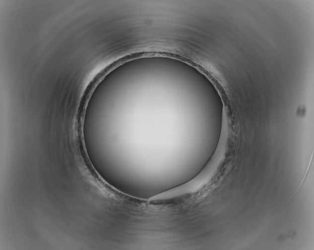 X0000091980928200709201423