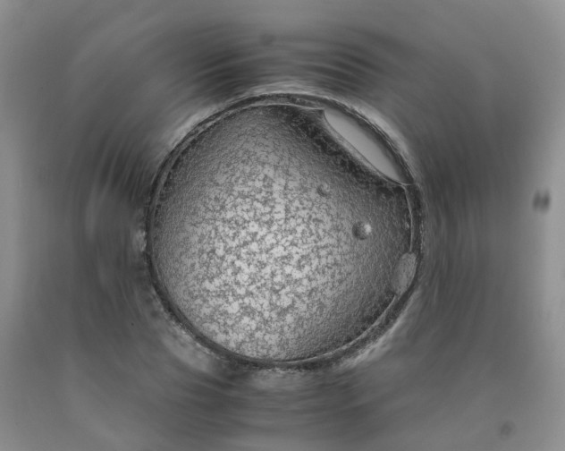 X0000091980929200709201423