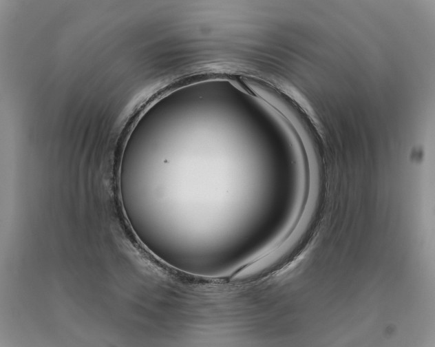 X0000091980930200709201423