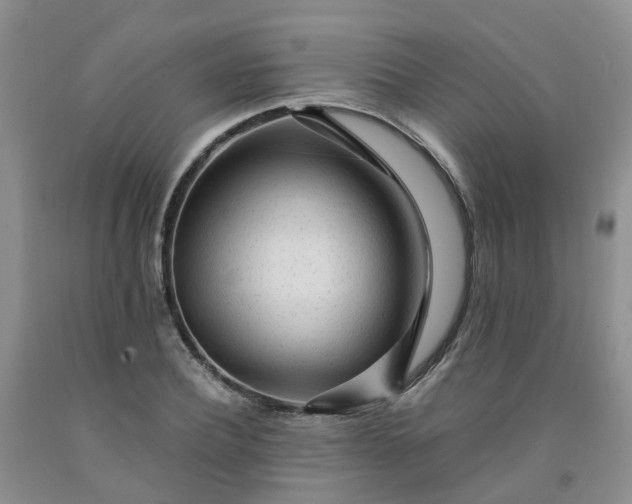 X0000091980932200709201423