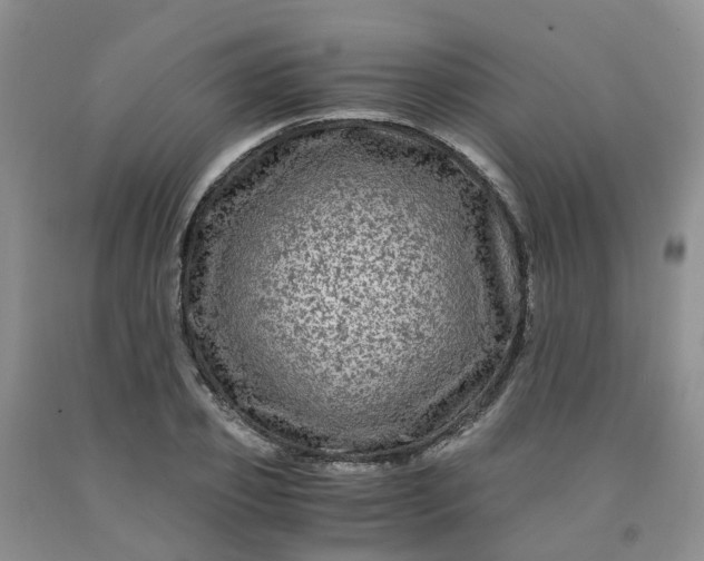 X0000091980933200709201423