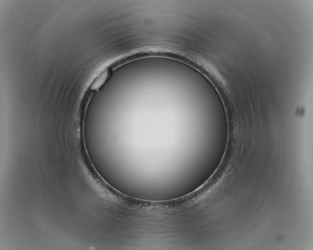 X0000091980934200709201423