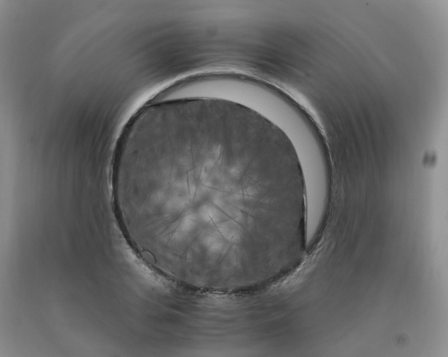 X0000091980935200709201423