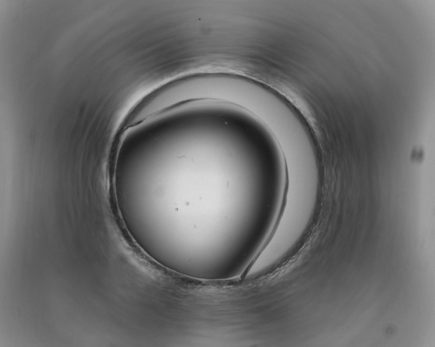 X0000091980936200709201423