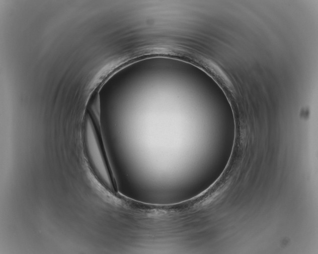 X0000091980938200709201423