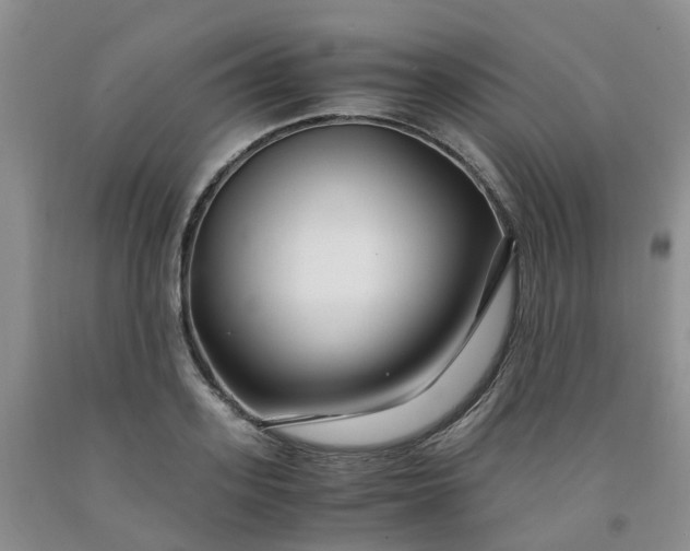 X0000091980939200709201423