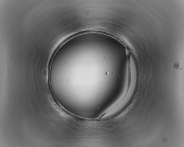 X0000091980940200709201423