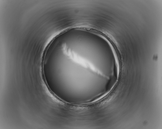 X0000091980941200709201423