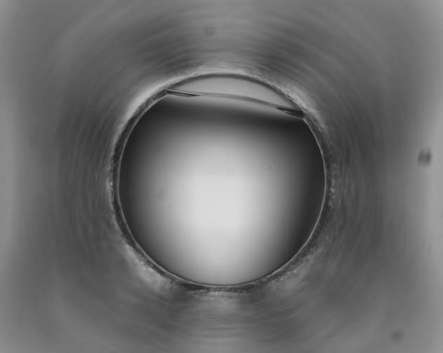 X0000091980942200709201423