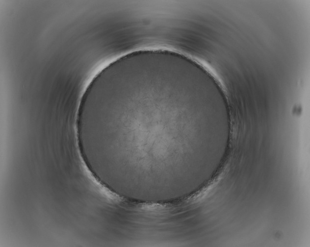 X0000091980943200709201423