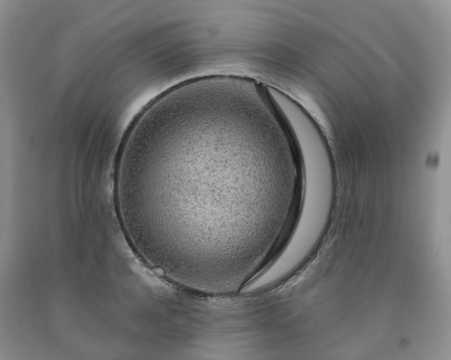 X0000091980944200709201423