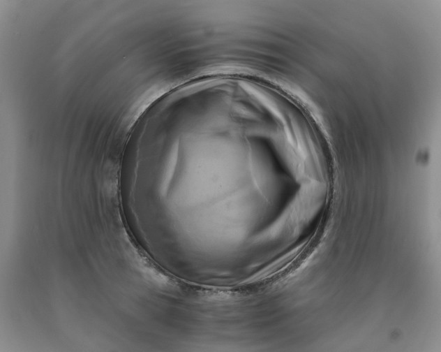 X0000091980945200709201424