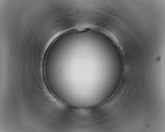 X0000091980947200709201424