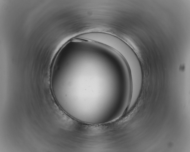 X0000091980948200709201424