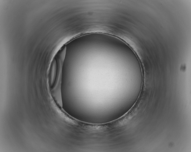 X0000091980949200709201424