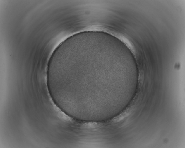 X0000091980950200709201424