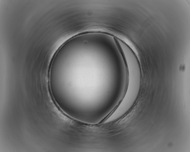 X0000091980951200709201424