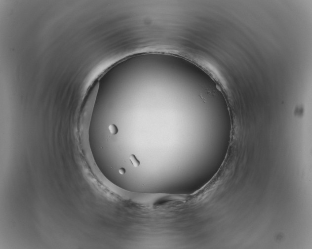 X0000091980952200709201424