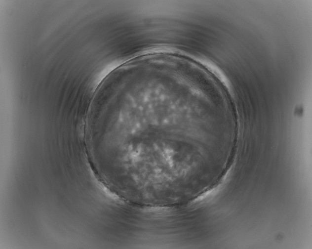 X0000091980953200709201424