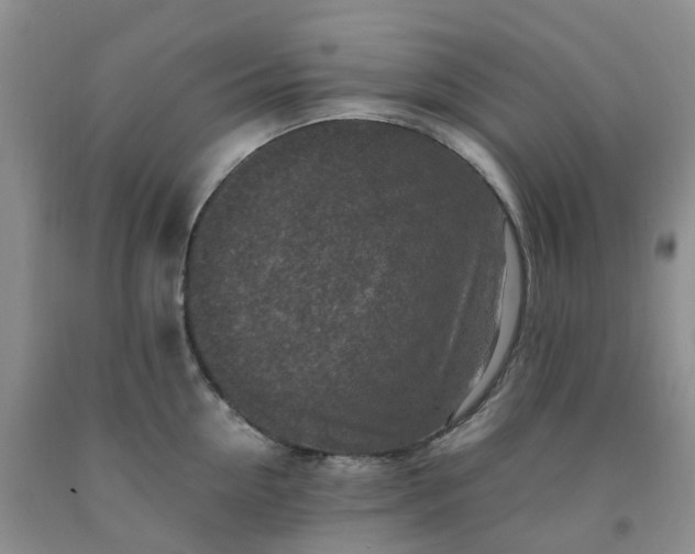 X0000091980954200709201424