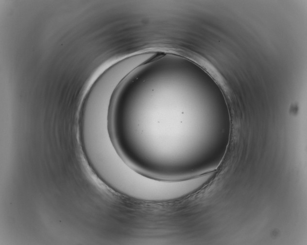 X0000091980955200709201424