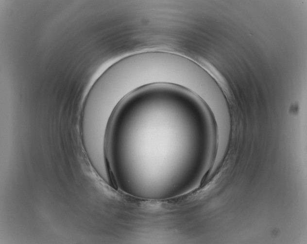 X0000091980956200709201424