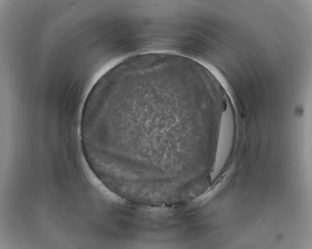 X0000091980957200709201424