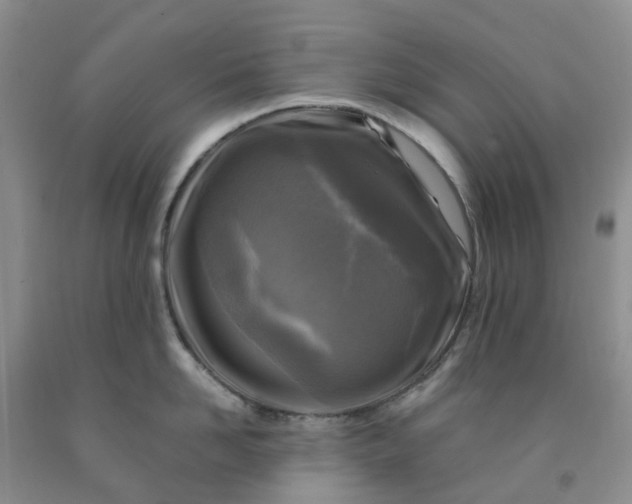 X0000091980958200709201424