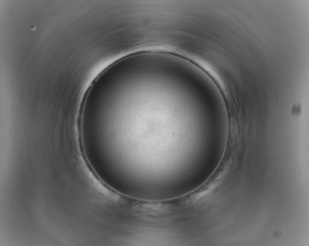 X0000091980959200709201424