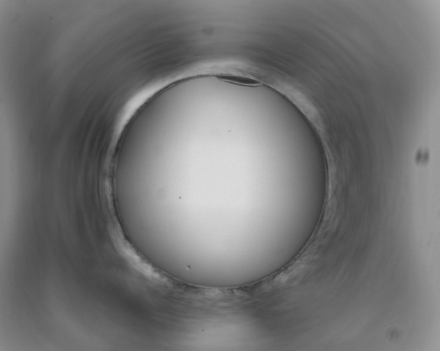 X0000091980960200709201424