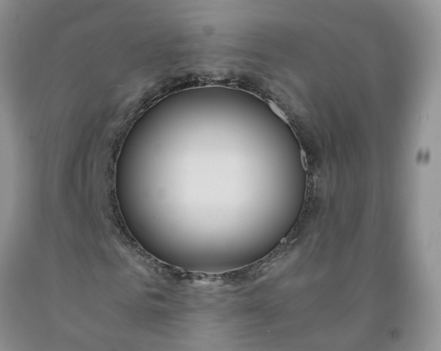 X0000091980961200709201423