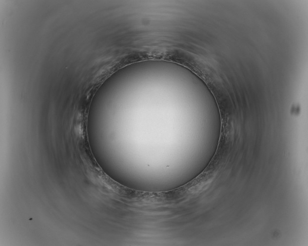 X0000091980962200709201423