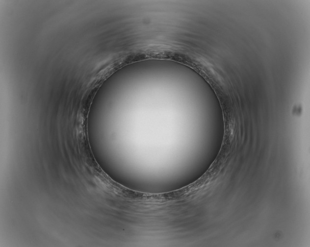 X0000091980964200709201423