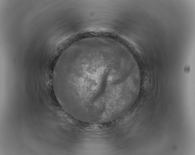 X0000091980966200709201423