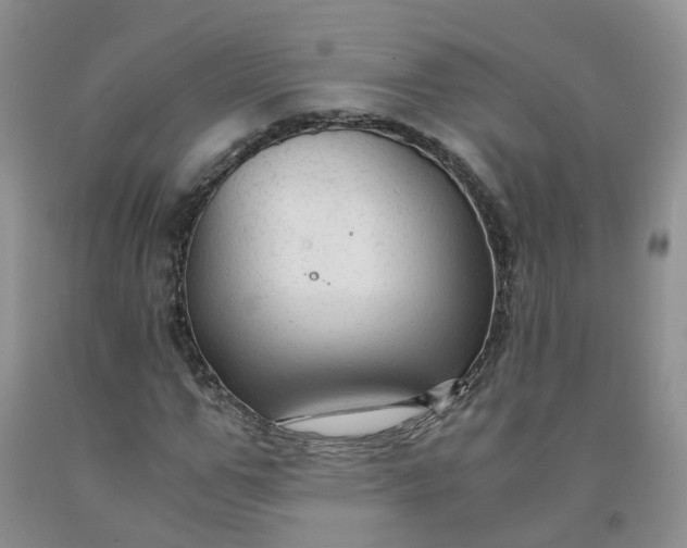 X0000091980967200709201423