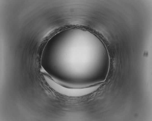 X0000091980968200709201423