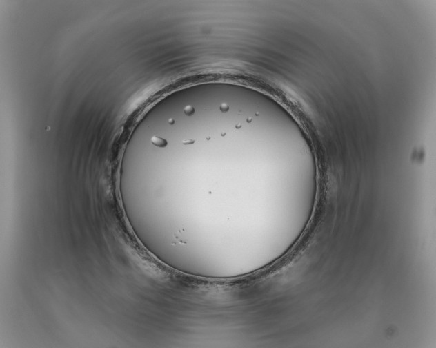 X0000091980970200709201423