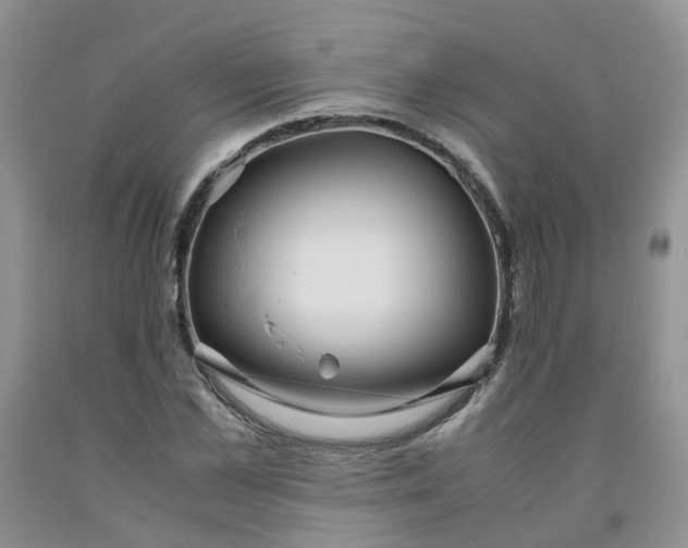 X0000091980973200709201423