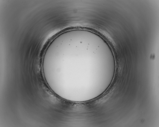 X0000091980974200709201423