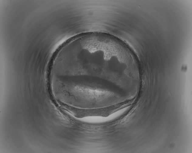 X0000091980975200709201423