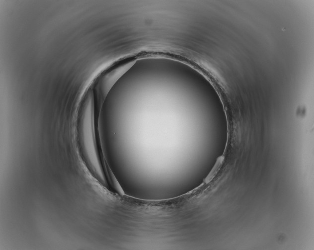 X0000091980976200709201423