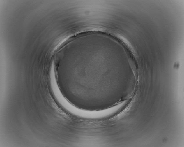 X0000091980977200709201423