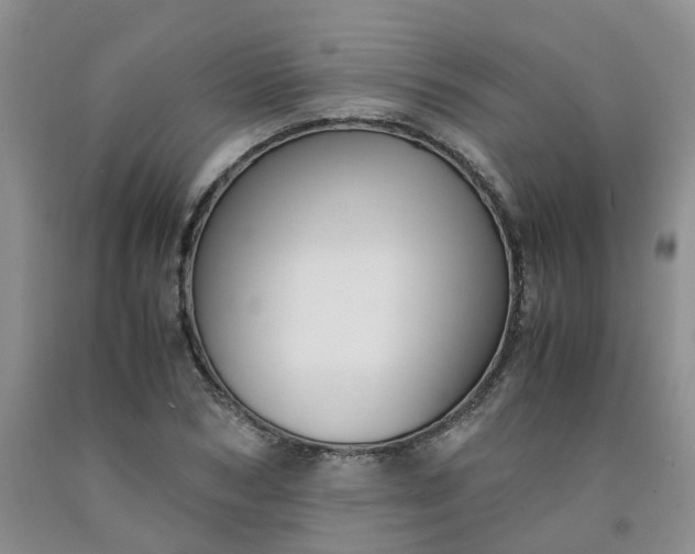 X0000091980978200709201423