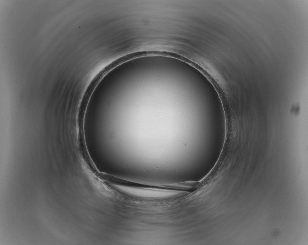 X0000091980980200709201423