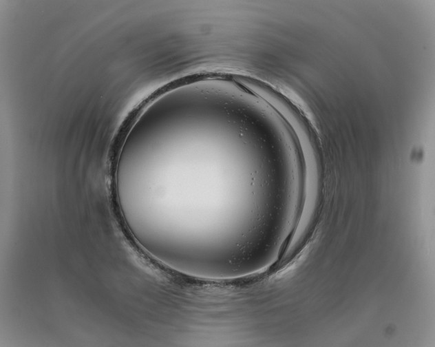 X0000091980981200709201423