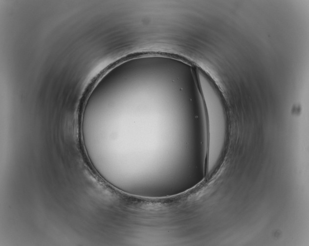 X0000091980982200709201423