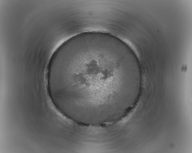 X0000091980983200709201423