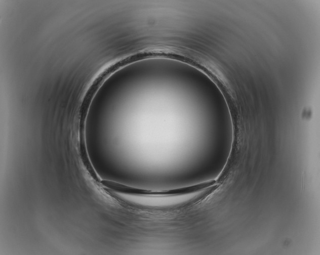 X0000091980984200709201423